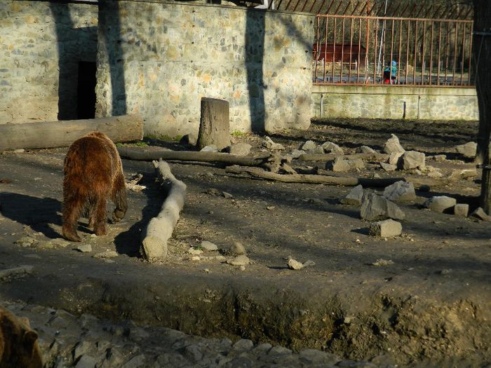 DSCN3109 - 1 MARTIE_2 2014