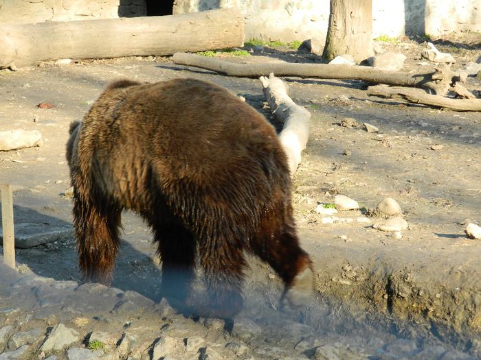 DSCN3111 - 1 MARTIE_2 2014