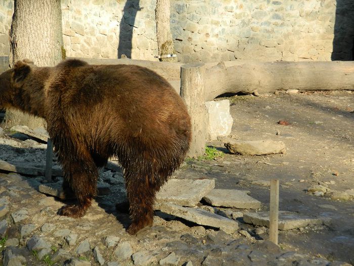 DSCN3112 - 1 MARTIE_2 2014