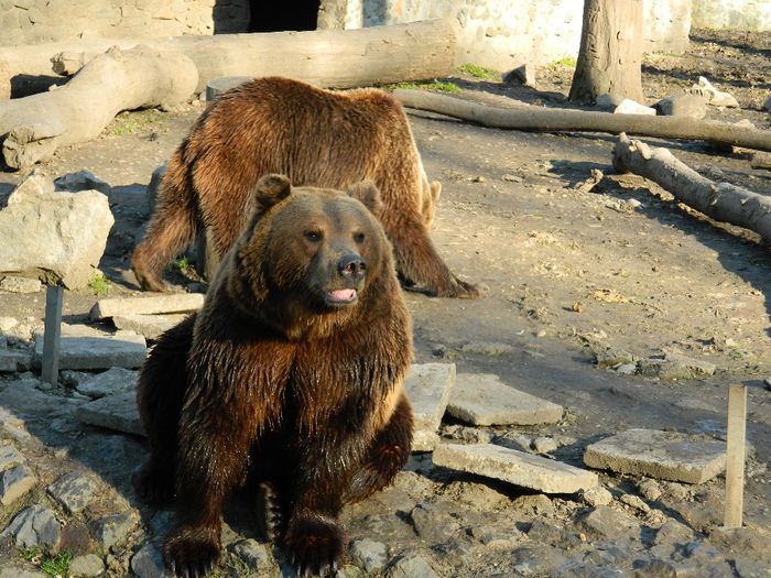 DSCN3116 - 1 MARTIE_2 2014