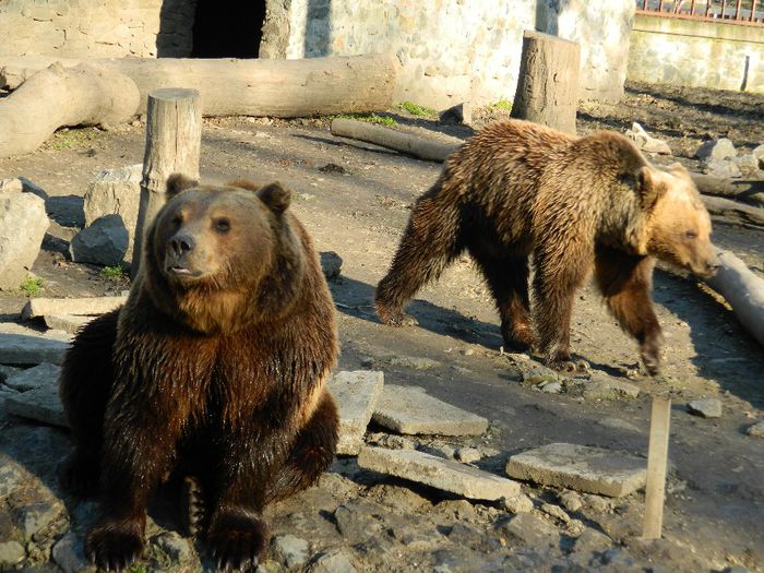 DSCN3117 - 1 MARTIE_2 2014