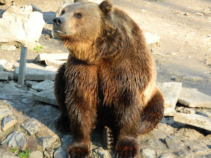 DSCN3118 - 1 MARTIE_2 2014