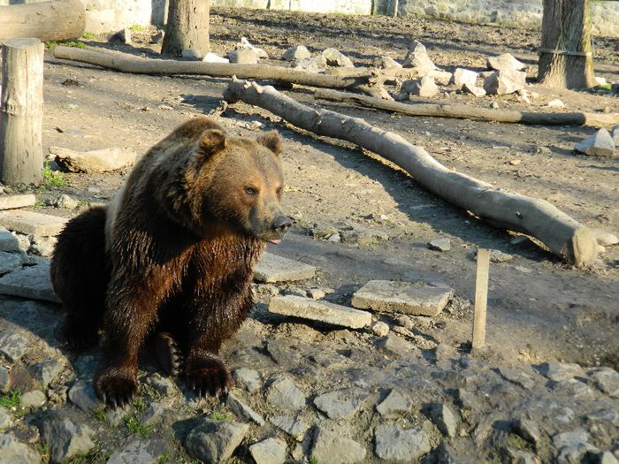 DSCN3119 - 1 MARTIE_2 2014