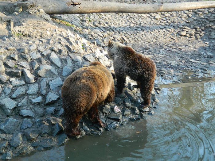 DSCN3121 - 1 MARTIE_2 2014