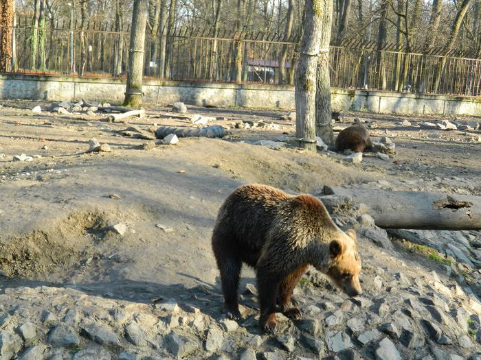 DSCN3123 - 1 MARTIE_2 2014