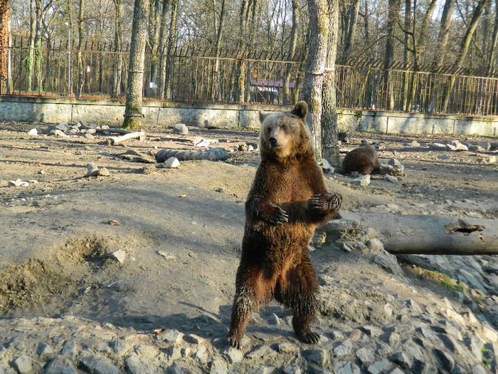 DSCN3124 - 1 MARTIE_2 2014