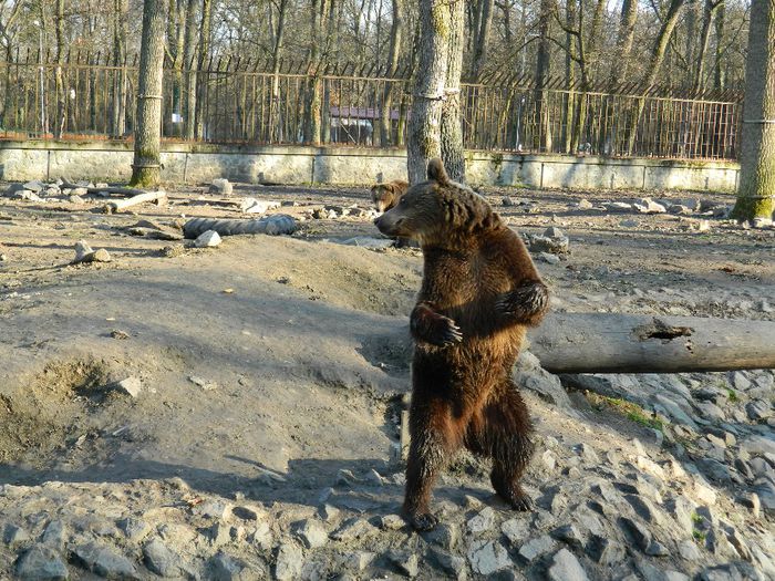 DSCN3125 - 1 MARTIE_2 2014