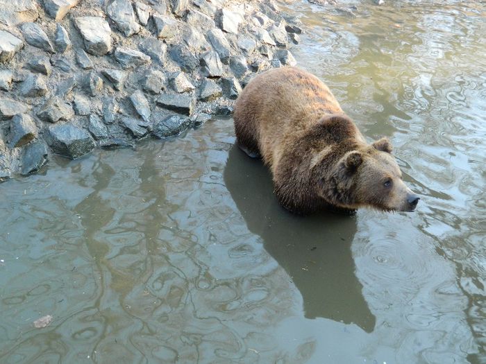 DSCN3126 - 1 MARTIE_2 2014