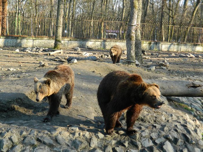 DSCN3128 - 1 MARTIE_2 2014