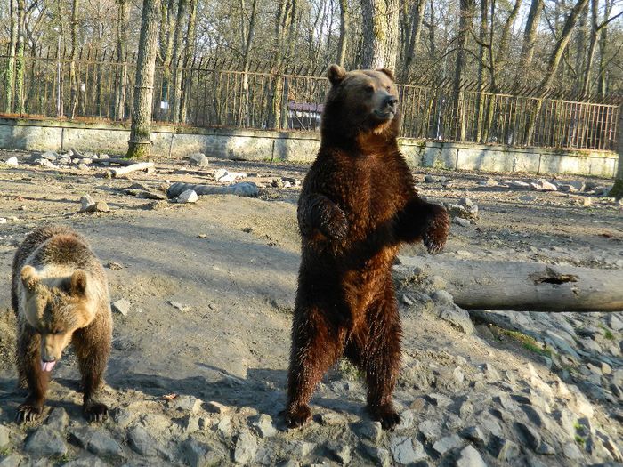 DSCN3129 - 1 MARTIE_2 2014