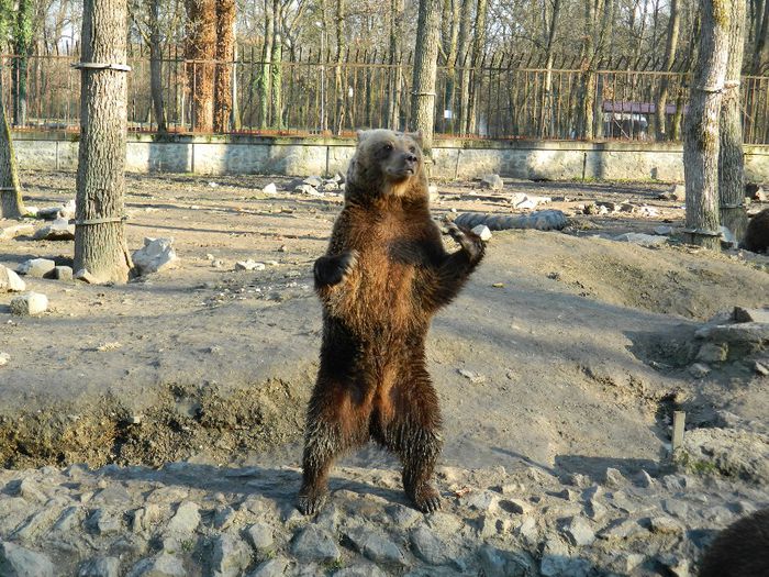 DSCN3130 - 1 MARTIE_2 2014