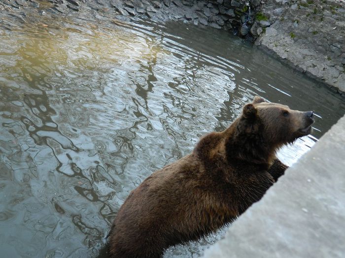 DSCN3132 - 1 MARTIE_2 2014