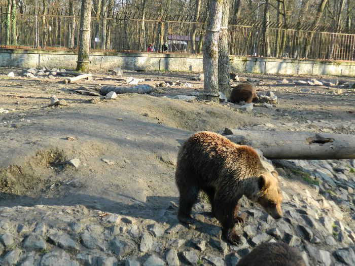 DSCN3133 - 1 MARTIE_2 2014