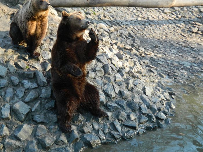 DSCN3134 - 1 MARTIE_2 2014