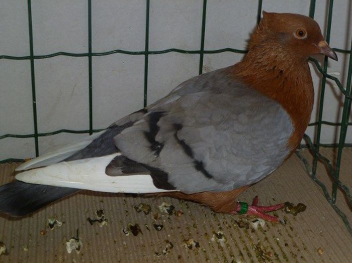 407