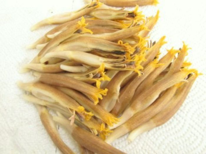 bananier-flori; (Musa SPP)se folosesc la diferite preparate culinare
