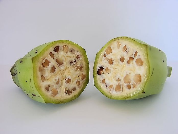 bananier-banana salbatica; (Musa SPP)are f Multi simburi
