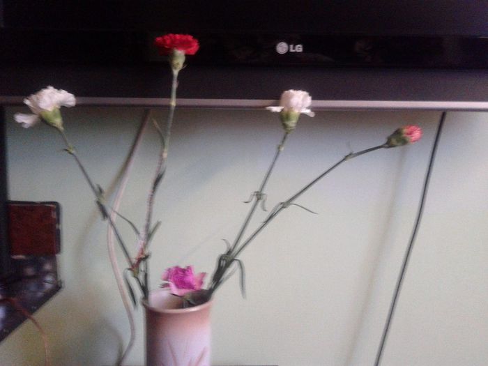 2014-03-01 15.18.01 - florile mele