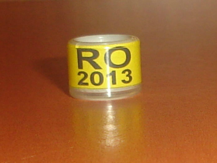 ROMANIA 2013 - Ornament