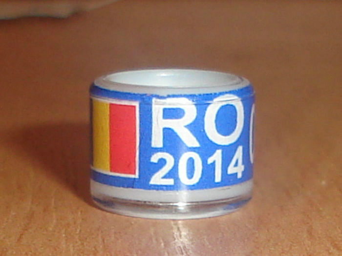 ROMANIA 2014 - Ornament