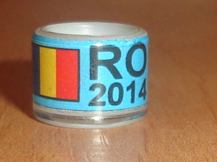 ROMANIA 2014 - Ornament