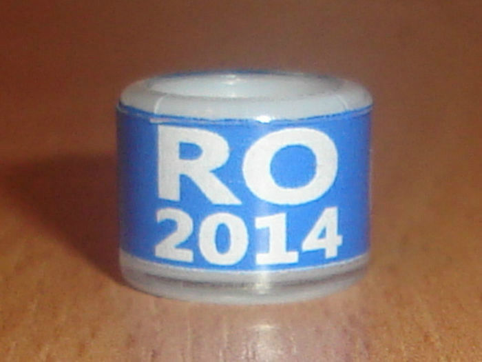 ROMANIA 2014 - Ornament