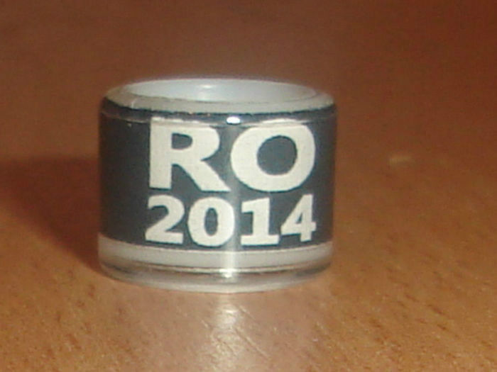 ROMANIA 2014 - Ornament