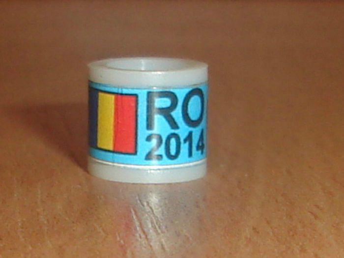 ROMANIA 2014 - Ornament