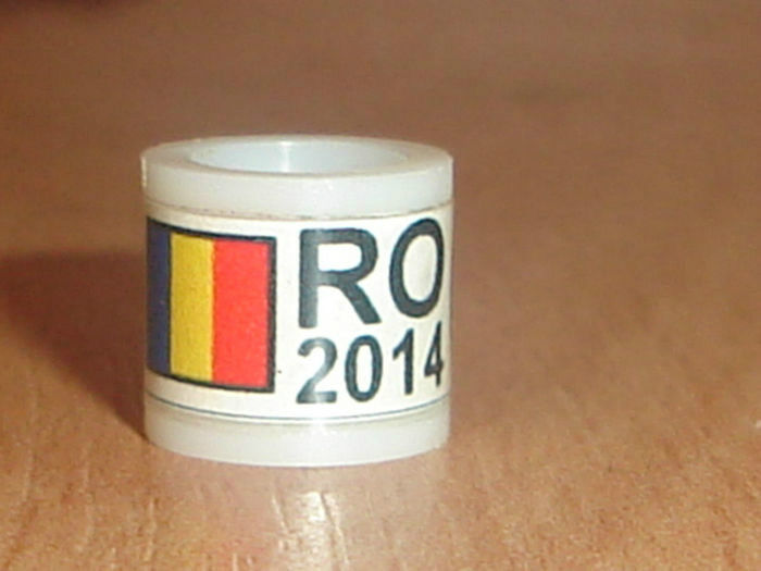 ROMANIA 2014 - Ornament