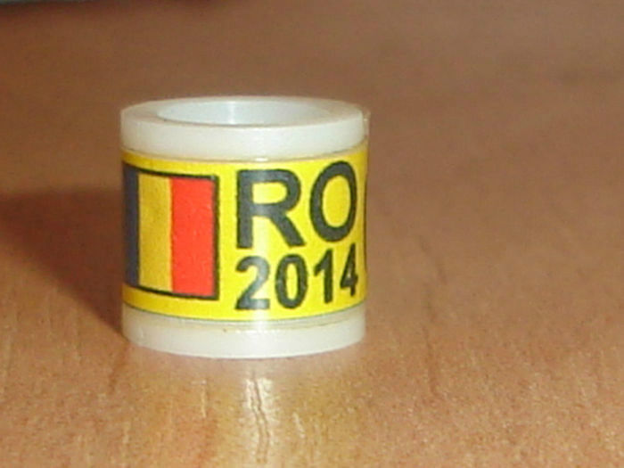 ROMANIA 2014 - Ornament