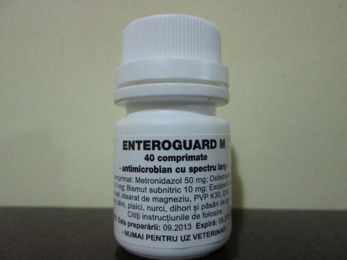 ENTEROGOARD