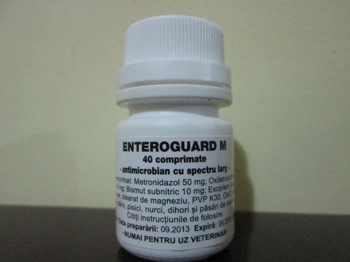 ENTEROGOARD