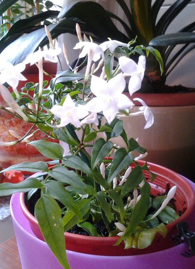 20140305_122326