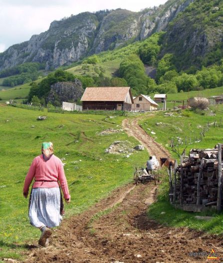 viata-la-tara (1) - In linistea satului