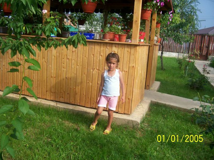 105_1369 - Foisoru meu