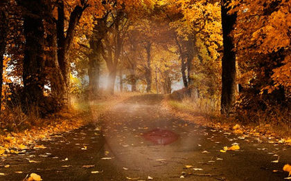 68848158_9jLpgCg_1394031170 - IONISSS effecte speciale 2014 zqw1