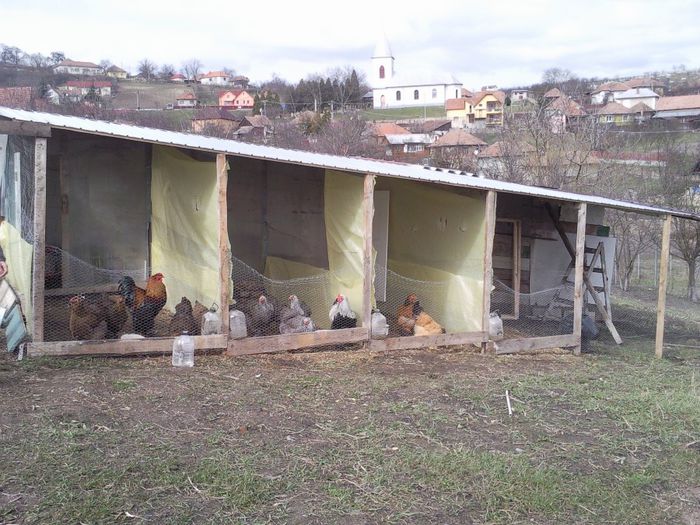 Partea asta e a lui fratele meu visanucluj