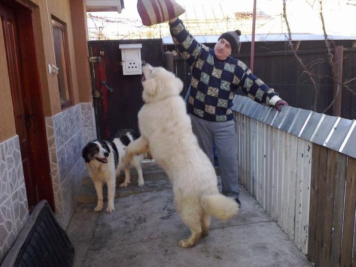 154540_118238005011727_677508241_n