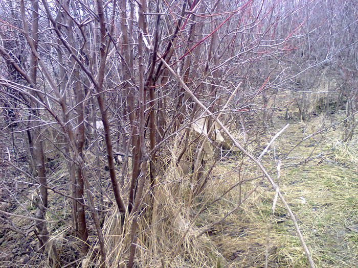 AICI NU AM AVAUT TUPEU SA INTRU  POATE MAINE IMI FAC CURAJ