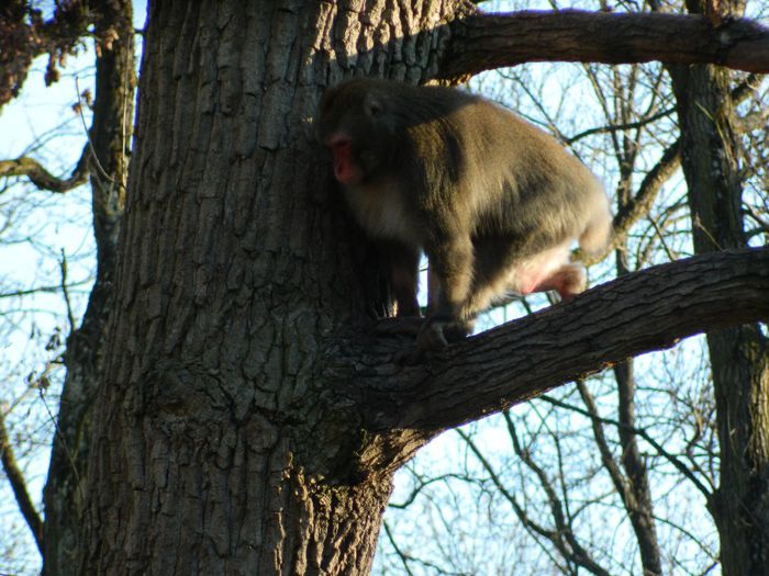 DSCN3147 - 1 MARTIE_2 2014