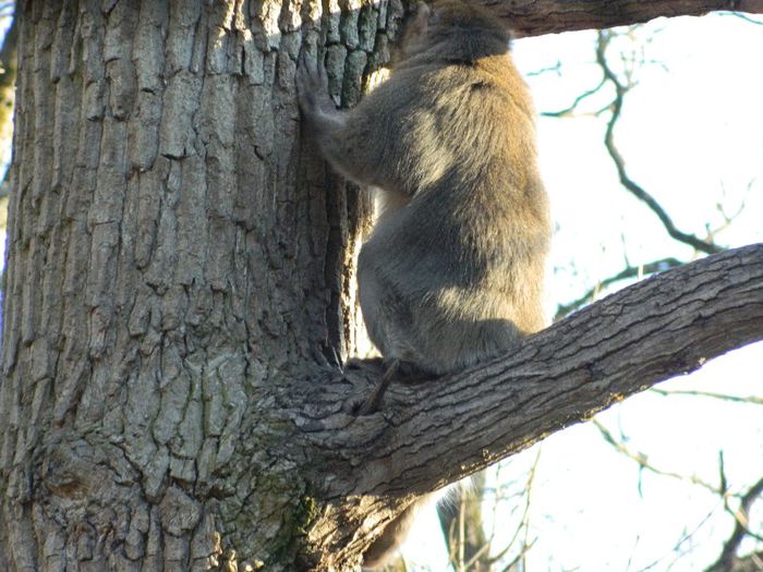 DSCN3148 - 1 MARTIE_2 2014