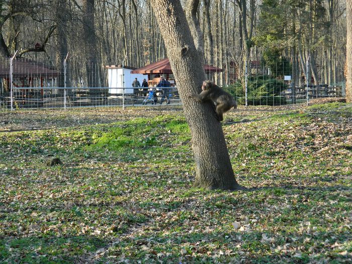 DSCN3153 - 1 MARTIE_2 2014