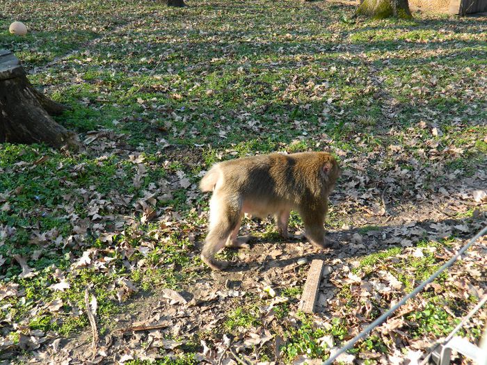 DSCN3158 - 1 MARTIE_2 2014