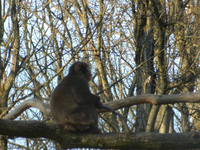 DSCN3160 - 1 MARTIE_2 2014