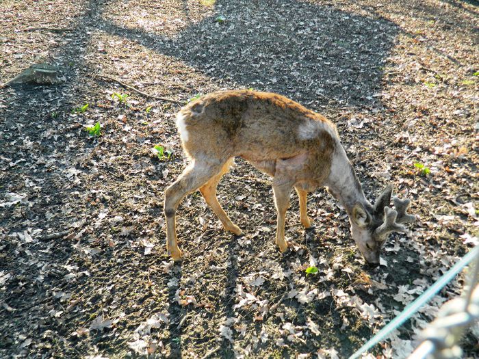 DSCN3171 - 1 MARTIE_2 2014