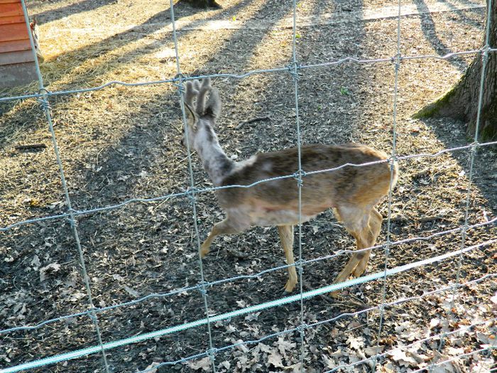 DSCN3173 - 1 MARTIE_2 2014