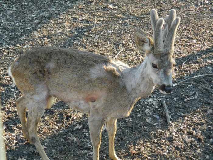 DSCN3179 - 1 MARTIE_2 2014