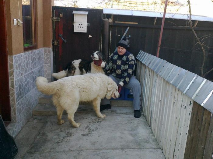 599822_118237991678395_1519924369_n