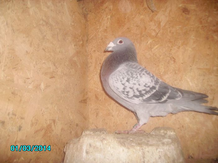 PICT0509