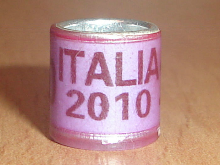 Italia 2010